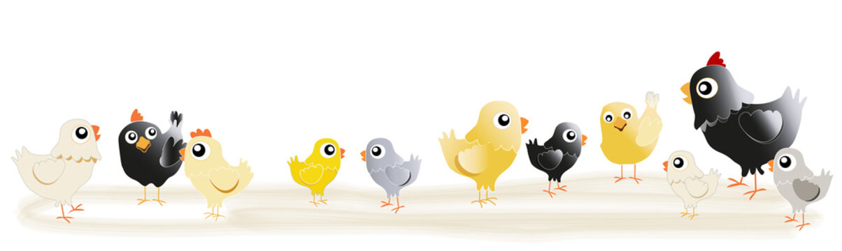 Bande de petits poussins