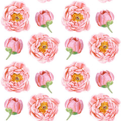 Watercolor seamless pattern with pink peony on white background