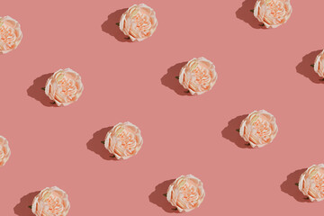 Gentle peony flower pattern on pastel pink background. Modern spring, nature and beauty concept. Minimal flat lay aesthetic.