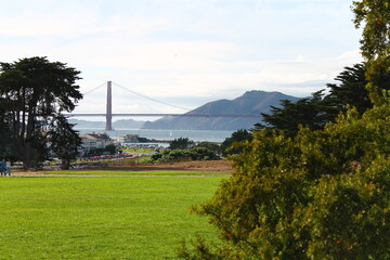 The green park and the Golden Gate in San Francisco during spring