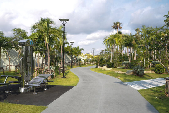 Palm Trees And Exercise Equipment In The Park Near The Treadmill