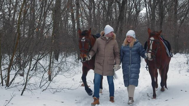 A young couple walking with a horse on a snowy winter field in the forest. People need to hold their horse by the bridle. They communicate and smile. Horse breeding