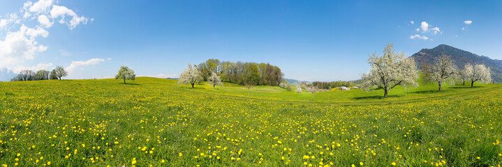 Panorama of spring nature in Switzerland. Mount Rigi in the background. - 493265351