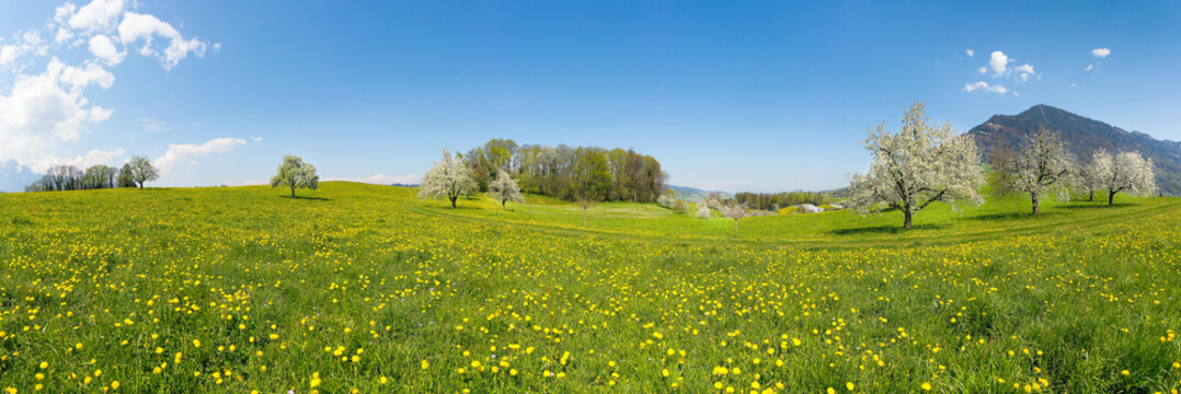 Panorama of spring nature in Switzerland. Mount Rigi in the background.
