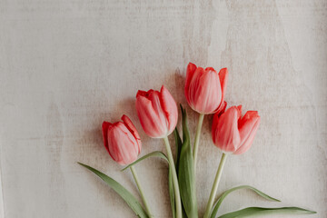 Ostern, Frühling - pinkfarbene Tulpen auf hellem Holz liegend