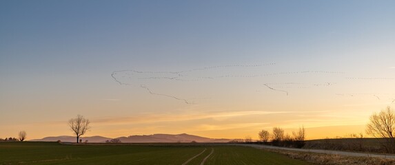 Spring landscape, sunset, migratory birds return home.
Field, mountains on the horizon. Poland