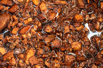 Chopped coconut husks soaked in water to prepare for use as planting material