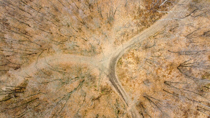 Aerial zenith view of a forest with a dusty road during winter season