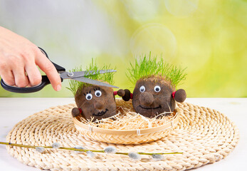 Two cute homemade grass heads and hand trimming growing hair grass. Stockings filled with soil and...