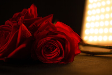 Beautiful photo of red roses on a black background with golden LEDs