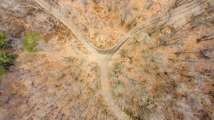 Aerial zenith view of a forest with a dusty road during winter season
