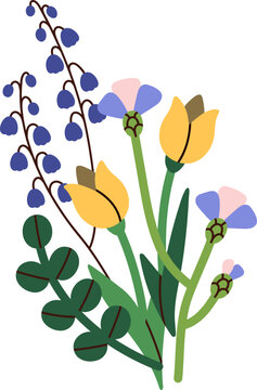Fototapeta Blooming Wild Flowers Bunch Colored Illustration