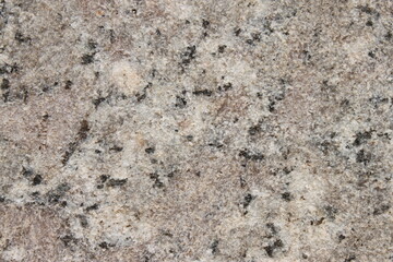 gray granite stone slab close up