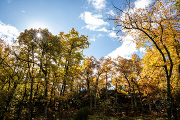 Tejeda de Tosande. Fuentes Carrionas Natural Park, Fuente Cobre- Palentina Mountain. Palencia,  Spain