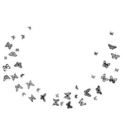 Obraz na płótnie Canvas flying butterflies silhouette isolated vector