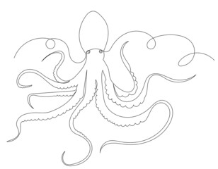 octopus one line drawing vector, isolated