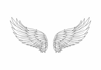 Obraz premium Vintage heraldic wings sketch. Doodle stylized birds wings. Hand drawn contoured stiker wing in open position. Design elements in coloring style