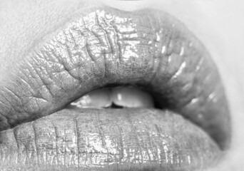 Close-up beautiful lips. Sexy plump lips nude lipstick. Close-up perfect natural lip makeup beautiful female mouth. Plump sexy full lips. Pink lipstick. Perfect natural lip makeup