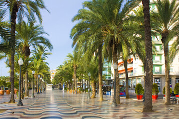 Esplanade - main promenade in Alicante, Spain 