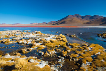 Laguna Colorada - red water lagoon. Bolivia. South America