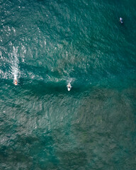 Obraz premium surfing in the sea