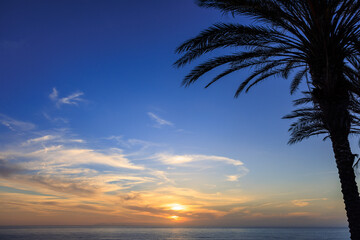 sunset over the sea, palm tree at sunset,