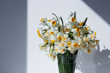 A bouquet of white daffodils in glass vase on the table, natural sunlight. Narcissus flowers in minimal close up composition with visible petal texture. Background, copy space top view.