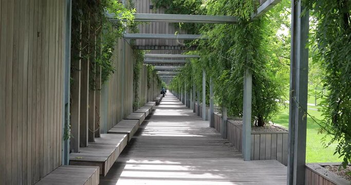 beautiful modern park. long alley. green road. Galitsky Park. Krasnodar Park