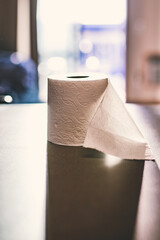 roll of toilet paper