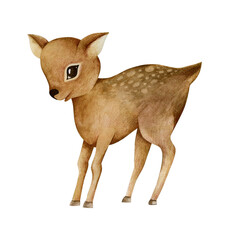 Deer watercolor illustration
isolated on white background.