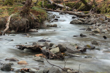 arroyo movido
