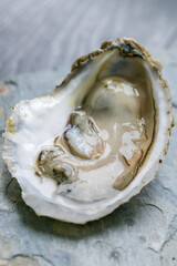 Oyster on Metal Table Zoomed 