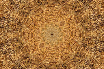 Light brown round ornament  kaleidoscope abstract design picture