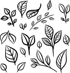 Vector leaves. Can be used for various purposes
