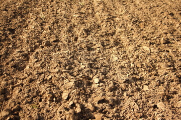 Cultivated soil, brown mud, earth, earth, brown ground background. Organic gardening, agriculture. Ecological rural texture.