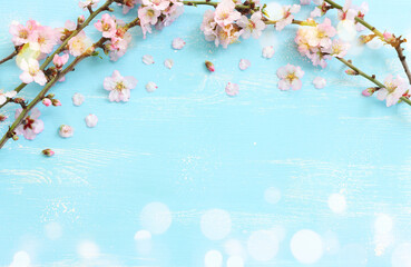 Obraz premium image of spring white cherry blossoms tree over blue wooden background. vintage filtered image