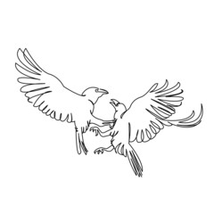 two crows fighting