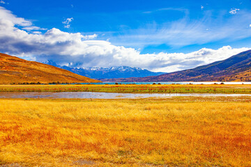 The yellow autumn grass.