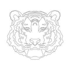 Linear image of the head of a cute tiger, a coloring book for children and adults.