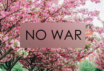 No War Ukraine. Spring flowers. Pink blooming sakura on sky background. 