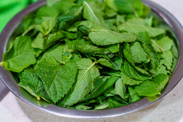 Fresh mint leaves in a bowl