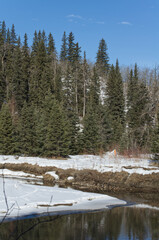 Obraz na płótnie Canvas Winter Scenery at Whitemud Park, Edmonton, AB