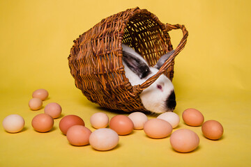A white hare with black spots sits in a wicker basket. Easter Bunny with chicken eggs. © Вероника Преображенс