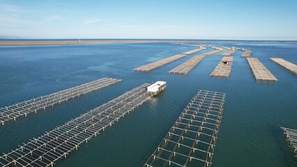 mejilloneras del delta del ebro