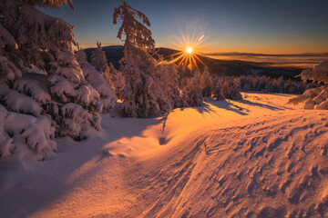 A frosty winter morning in Beskid Żywiecki. Views of the Tatra Mountains and Mala Fatra.