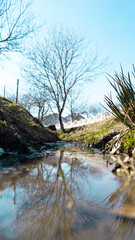 A beautiful blue river in a ditch near the road and houses, there are a lot of leaves and fish in...