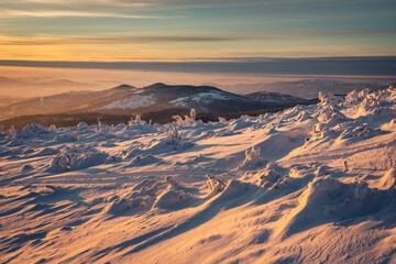 Plakat Winter sunset seen from Pilsko in Beskid Żywiecki. Beautiful views of the Tatras and the Mala Fatra massif, bathed in golden light.