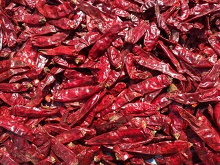 Indian dry red chillies