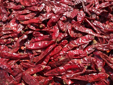 Indian red chillies, kashmiri chilli, spicy red chilli