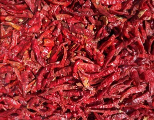 Dry red chillies kashmiri chilli spicy red chillies drying in sunlight,